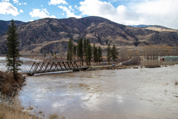 woda wznosząca się nad brzegami i zalewająca dolinę similkameen w chopaka rd - similkameen river zdjęcia i obrazy z banku zdjęć