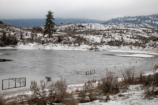 Frozen lake at White Lake Biodiversity Ranch in BC, Canada