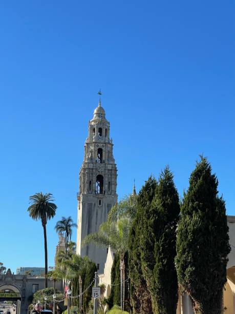 istock Tall bell tower building in the woods 1360465765