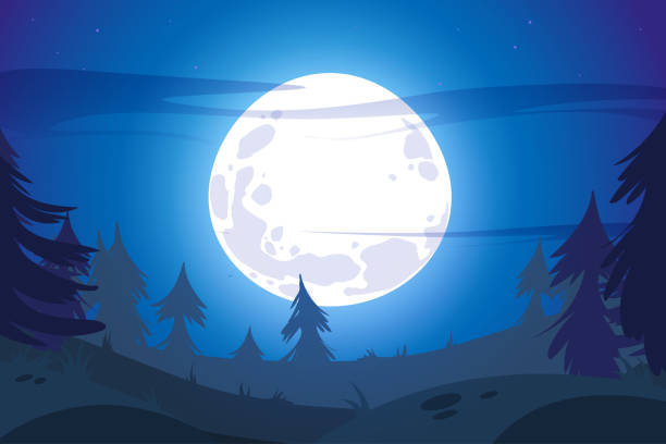 bildbanksillustrationer, clip art samt tecknat material och ikoner med full moon in night sky and dark forest landscape - moon forest