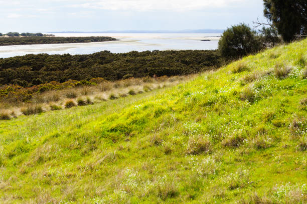 Rhyll Inlet State Wildlife Reserve - Phillip Island