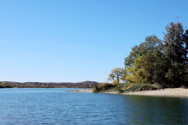 スキナー湖 - temecula riverside county california southern california ストックフォトと画像