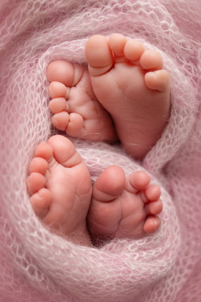 Feet of newborn twins. Two pairs of baby feet in a pink knitted blanket. Close up of toes, heels and feet of a newborn baby. The tiny foot of a newborn brothers, sisters. Studio Macro photography. pies de gemelos recién nacidos. dos pares de pies de bebé en una manta de punto rosa. primer plano de los dedos de los pies, los talones y los pies de un bebé recién nacido. el pequeño pie de un hermano recién nacido, hermanas. fotografía macro de e