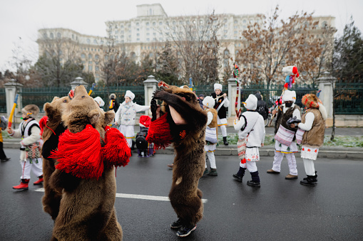 Bucharest, Romania - December 21, 2021: A band of people wear bear furs and perform New Year Romanian traditional rituals (Bears Dance or Dansul Ursilor) in front the Palace of Parliament.