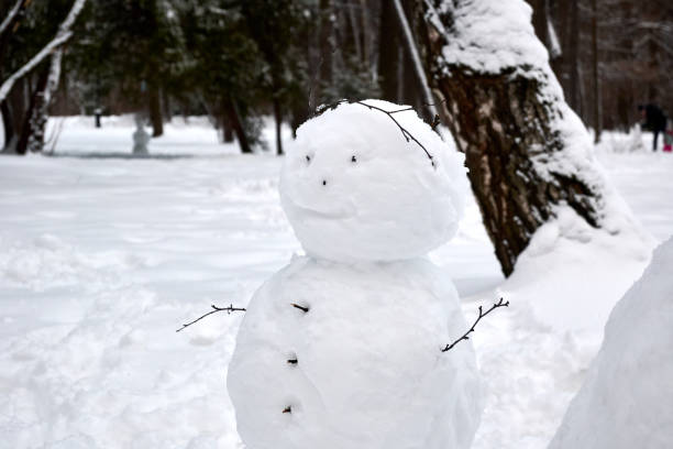 istock Snowman in winter park close up among trees 1360488817
