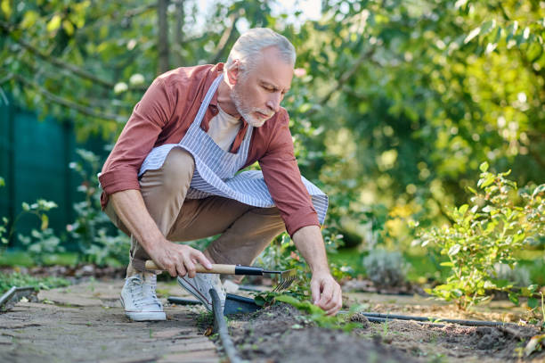 istock Mid aged man working in a garden with gtareden inventory 1360488921
