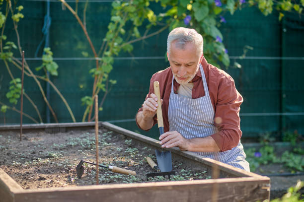 istock Gray-haired man looking busy while working in the garden 1360488927