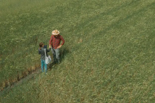 Photo of Banker and farmer negotiating bank agriculture loan in barley field