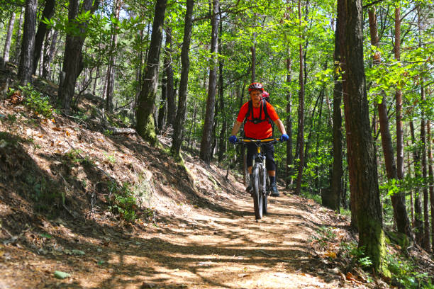 istock Mountain biker downhill in the summery forest (Model released) 1360494531