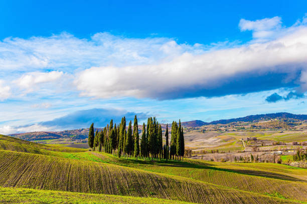 istock Sunny day at the beginning of winter 1360495936
