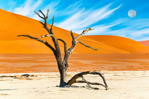 istock The Namib Naukluft Park. The moon 1360495945