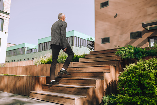 Back view of an elegant bespectacled gray-headed Caucasian entrepreneur walking up the stairs to the office building