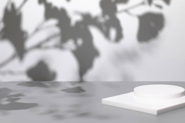istock scene with white podium on gray background and shadows 1360502443