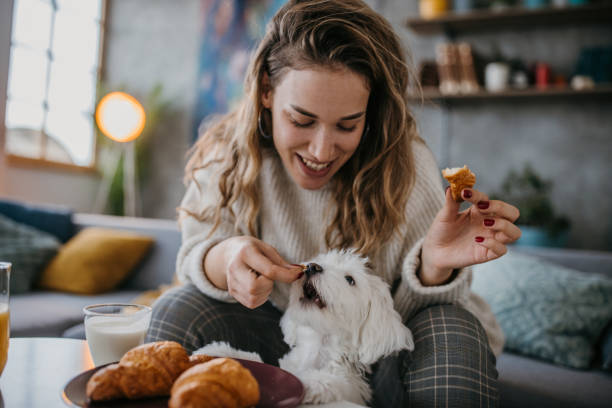 istock Woman sharing breakfast with her dog 1360503908