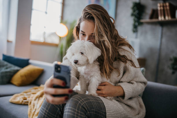 istock Selfie with pet dog 1360505312