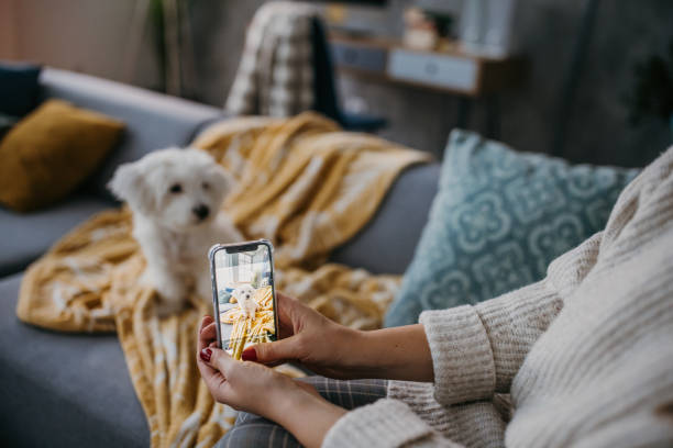 istock Taking a picture of her puppy 1360505383