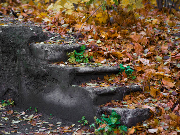 old steps on a background of yellow leaves