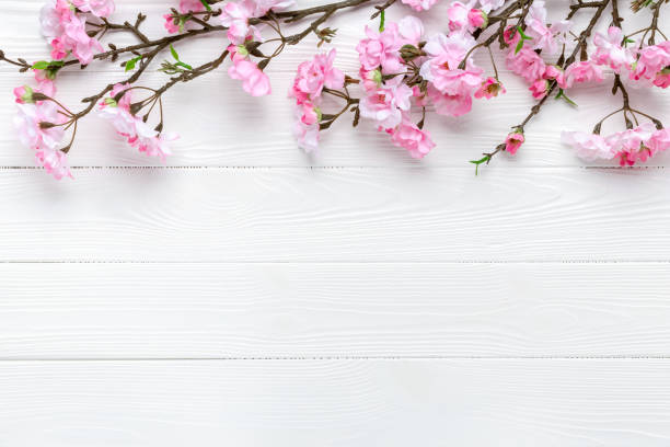 istock Cherry blossom on a white wood background. Floral frame border. Template with copy space. Romantic pattern with place for text. Mockup. Spring layout. Mother's day greeting card. Sakura branches. 1360511788