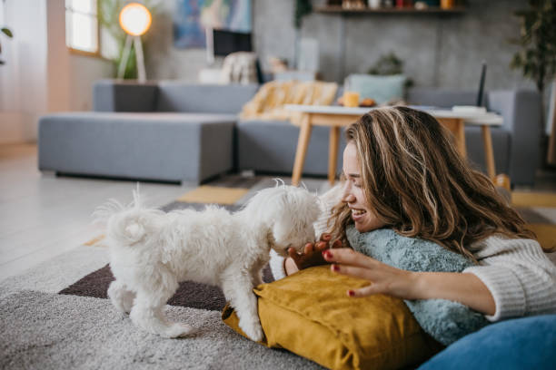 istock Woman playing with her dog 1360512467
