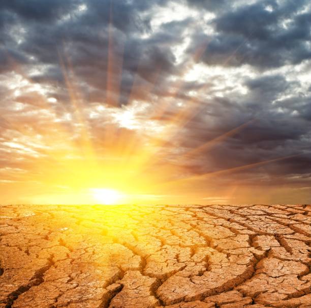 istock cracked earth at the evening 1360513408