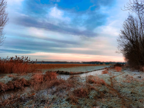 Polder landscape Horizontal sunset over agricultural field at the forest the ‘Bieslandse Bos’ delft winter netherlands snow stock pictures, royalty-free photos & images