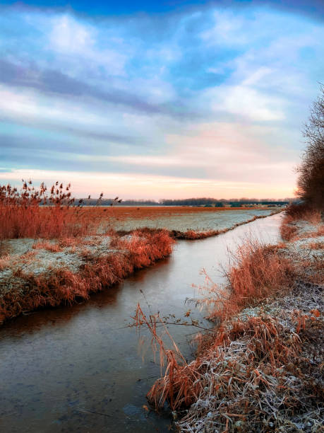 Polder sunset Sunset over agricultural field at the forest the ‘Bieslandse Bos’ delft winter netherlands snow stock pictures, royalty-free photos & images