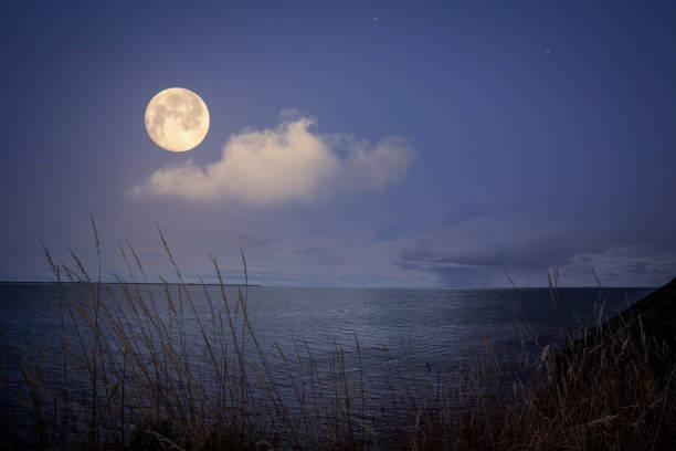 istock Full moon over the sea with sparkling stars 1360518702