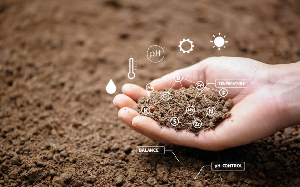 Top view of soil in hands for check the quality of the soil for control soil quality before seed plant. Future agriculture concept. Smart farming, using modern technologies in agriculture"n stock photo