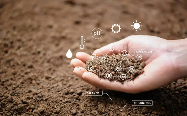 Photo of Top view of soil in hands for check the quality of the soil for control soil quality before seed plant. Future agriculture concept. Smart farming, using modern technologies in agriculture