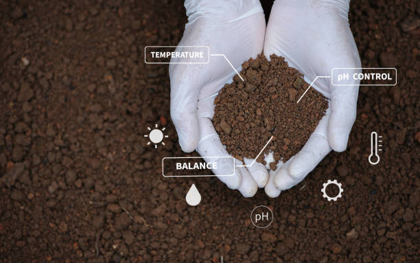 Top view of soil in hands for check the quality of the soil for control soil quality before seed plant. Future agriculture concept. Smart farming, using modern technologies in agriculture vista superior del suelo en las manos para verificar la calidad del suelo para controlar la calidad del suelo antes de la siembra de semillas. concepto de agricultura futura. agricultura inteligente, utilizando tecnologías modernas en la agricultura