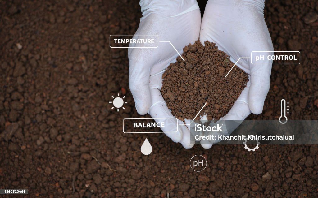 Top view of soil in hands for check the quality of the soil for control soil quality before seed plant. Future agriculture concept. Smart farming, using modern technologies in agriculture"n Dirt Stock Photo