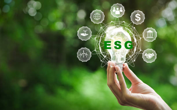 istock Hand holding light bulb with ESG icon concept for environmental, social, and governance in sustainable and ethical business on the Network connection on a green background. 1360521205
