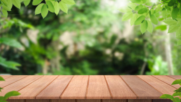 empty wooden table in nature outdoor for free space for product. Natural template with Beauty bokeh and sunlight. Beautiful Spring concept with green nature outdoor empty wooden table in nature outdoor for free space for product. Natural template with Beauty bokeh and sunlight. Beautiful Spring concept with green nature outdoor wood podium stock pictures, royalty-free photos & images