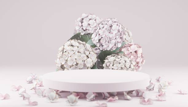 istock 3D rendering flower background white color with geometric shape podium for product display, minimal concept, Premium illustration pastel floral elements, beauty, cosmetic, valentines day. 1360521737
