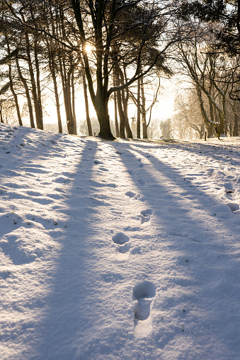 Footsteps in the snow at a sunny llewellyn Park. Winter in Morriston town, Swansea, South Wales, UK