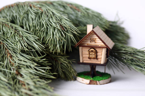 Christmas concept - christmas decoration isolated against fir tree branches