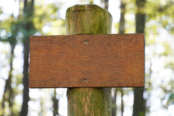 istock Wooden signboard in the forest. Without a label. Blank. 1360525260