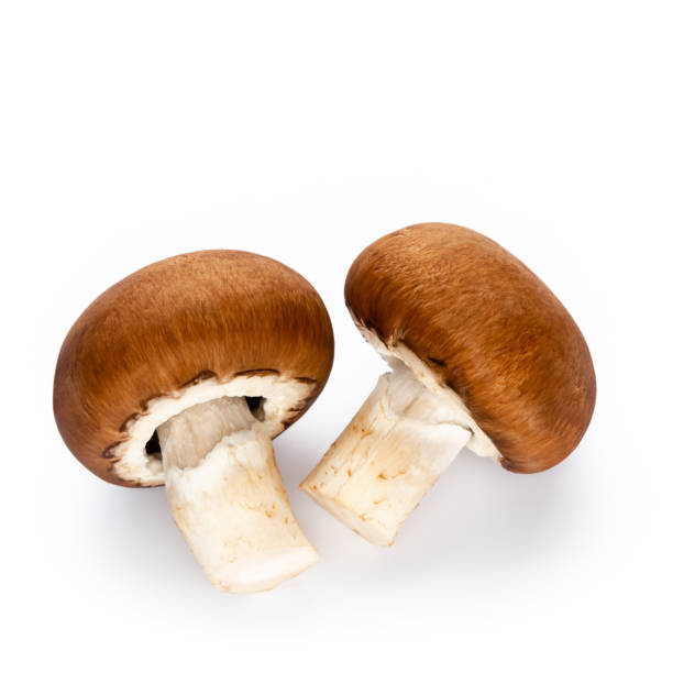 istock Fresh champignon mushrooms isolated on white. 1360531363