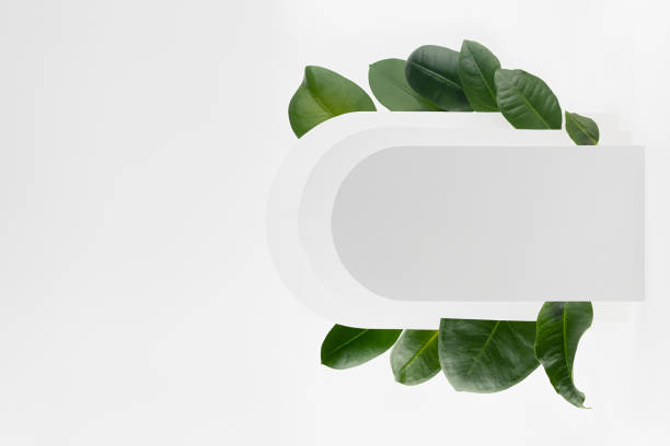 istock Fresh summer holiday abstract 