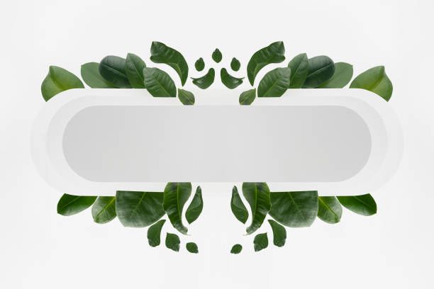 istock Bright fresh spring abstract figure of white rounded horizontal rectangle form as stripe or search bar with tropical green leaves, blank frame for design, text, advertising in natural eco style. 1360538875