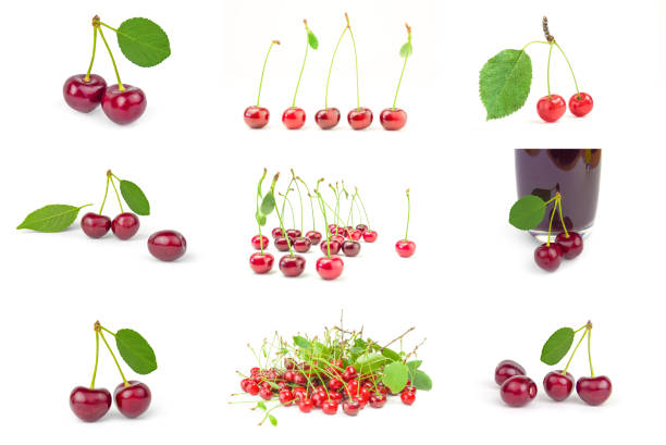 set of different Sweet ripe cherry in package with hand isolated on white background.