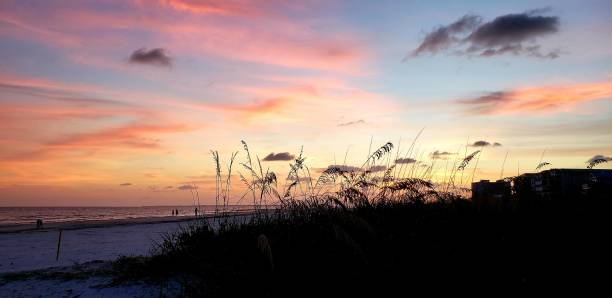 istock Bonita Beach Sea Oats at Sunset 1360542353