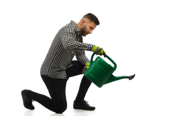 Young kneeling and focused man is watering by using a watering can. stock photo