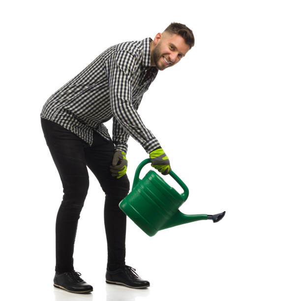 istock Young standing man is watering by using a watering can. 1360543885