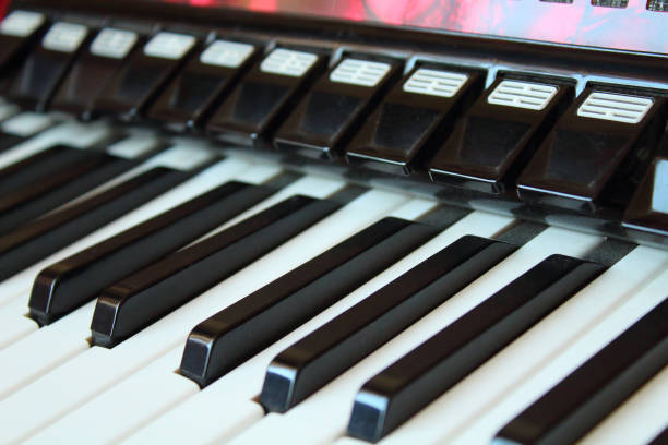 istock Accordion. Keys and buttons. Close-up. Background. Texture. 1360544886