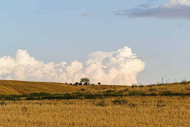 istock Nice nature landscape in Spain 1360547170