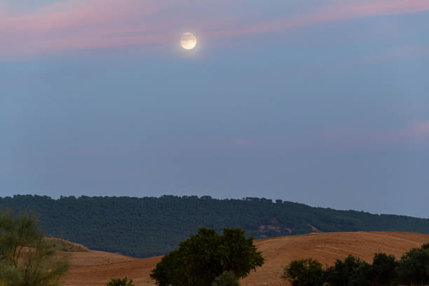 istock Nice nature landscape in Spain 1360547189