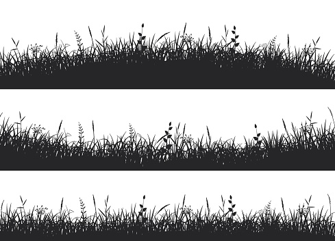 Grass meadow border. Grass on uneven ground.