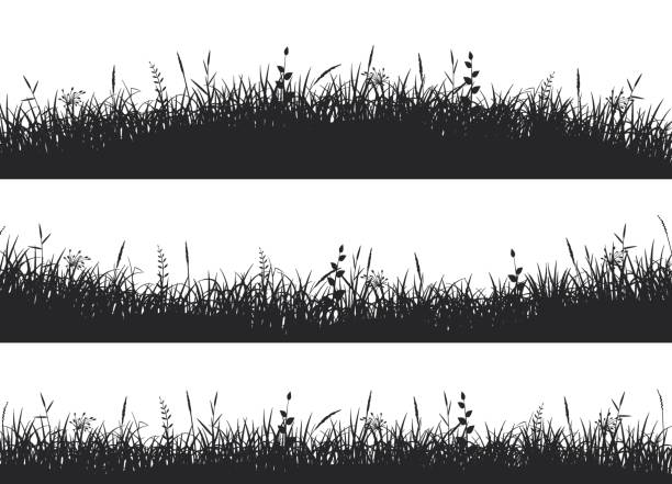 Grass Grass meadow border. Grass on uneven ground. frame outline silhouette stock illustrations