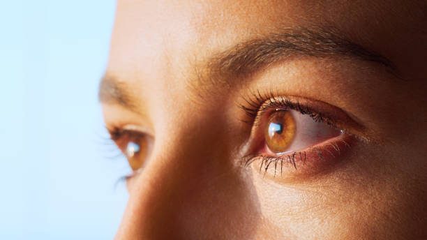 istock Extreme closeup on bright brown eye. Beautiful female face 1360547571